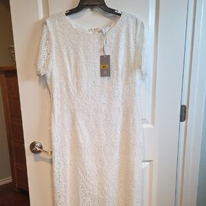 Preston & York Cream Lace Midi Dress